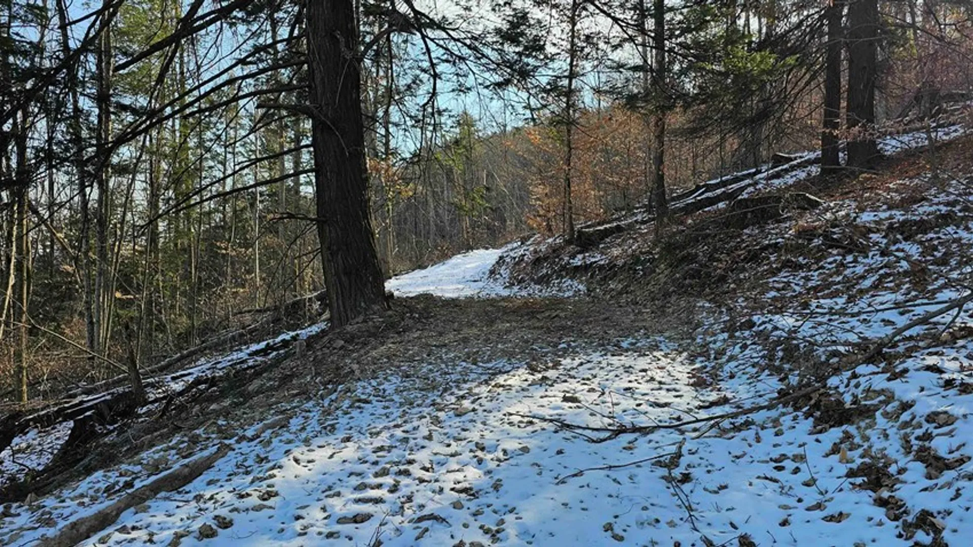 Property at 00 Jenkins Road, Elmira, NY 14861 10
