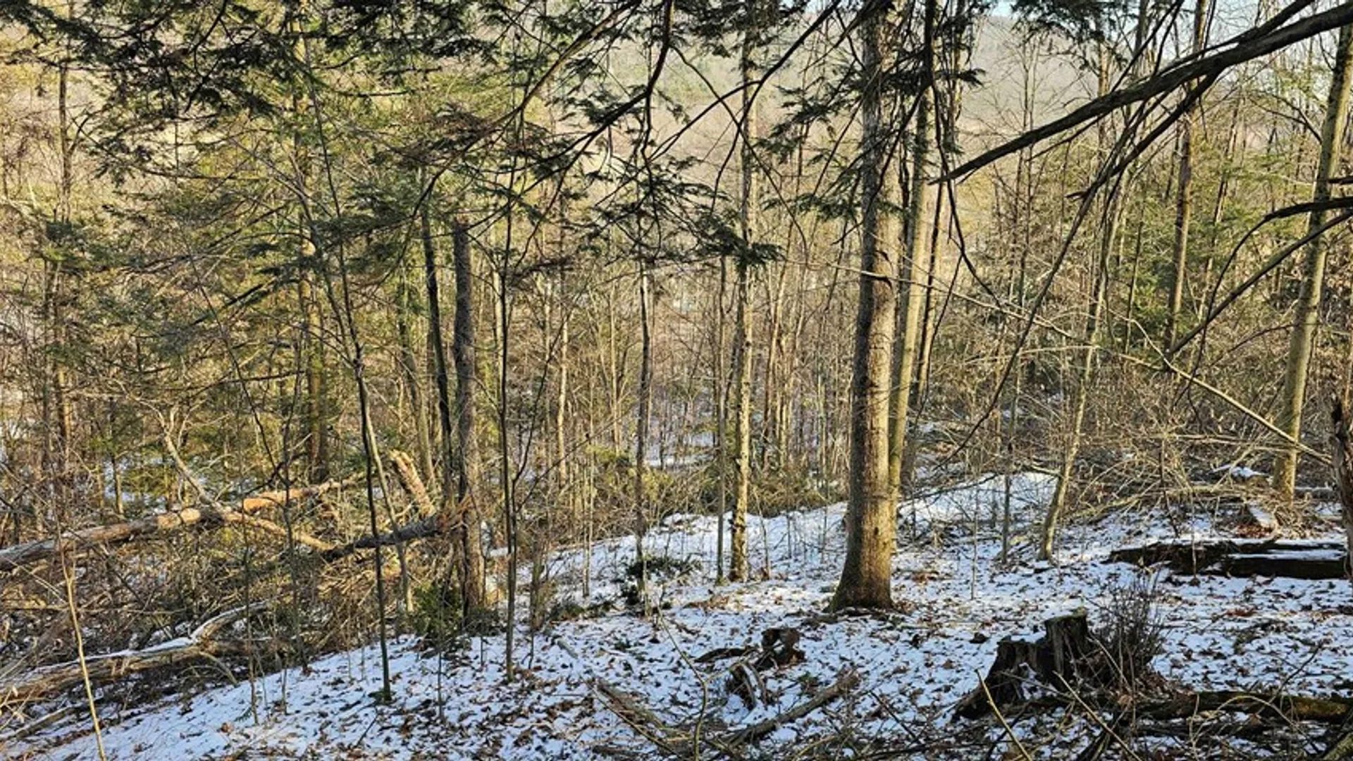 Property at 00 Jenkins Road, Elmira, NY 14861 11
