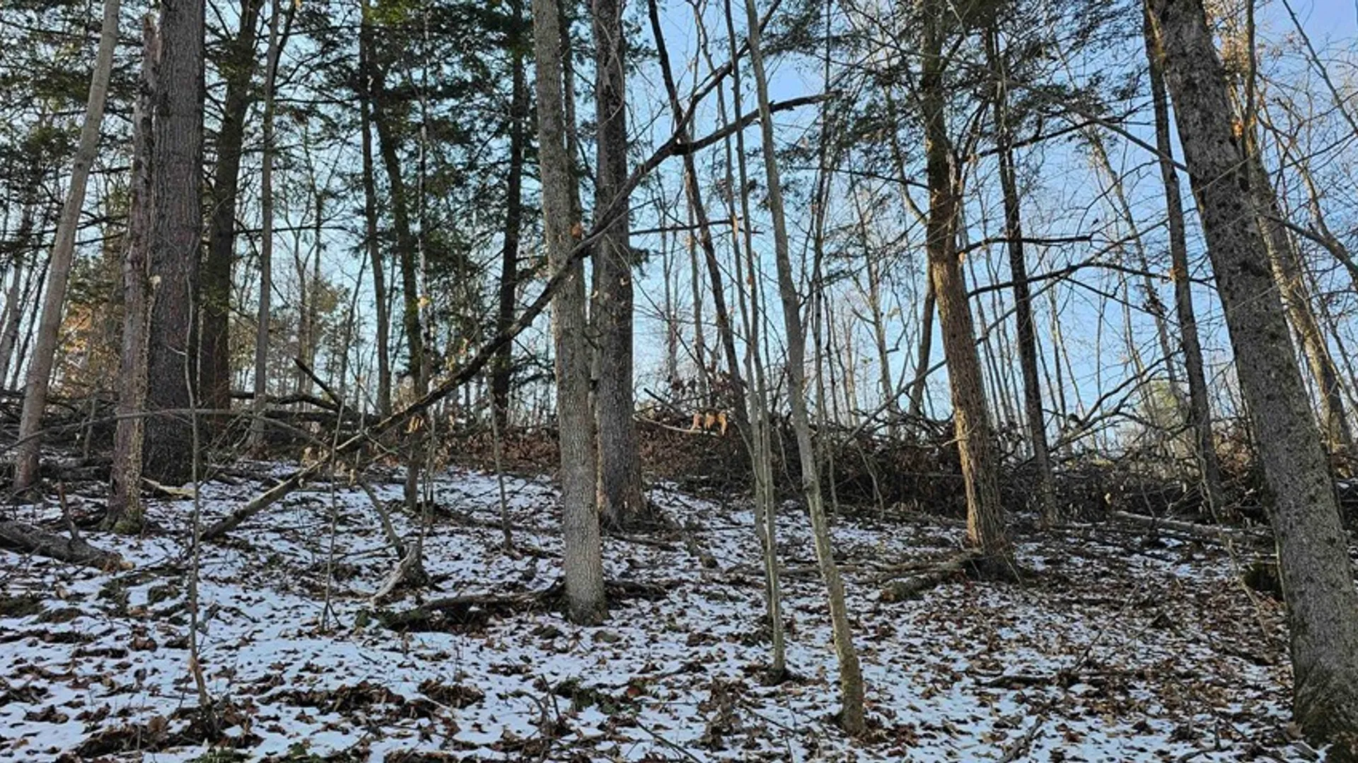 Property at 00 Jenkins Road, Elmira, NY 14861 12