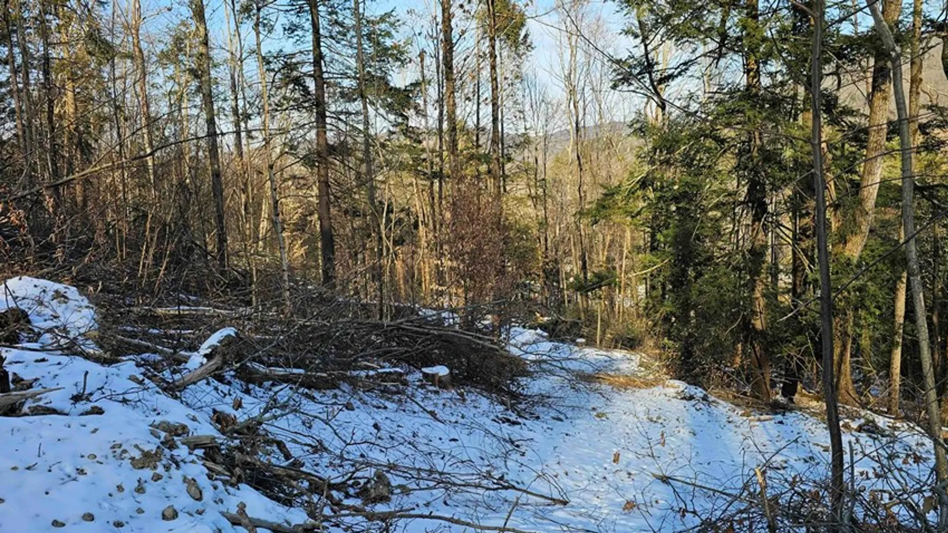 Property at 00 Jenkins Road, Elmira, NY 14861 13