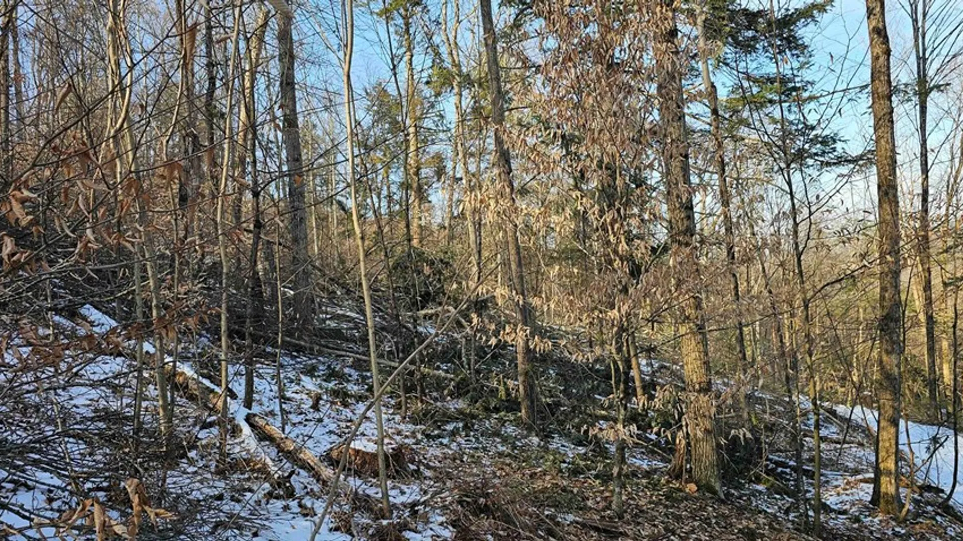 Property at 00 Jenkins Road, Elmira, NY 14861 14