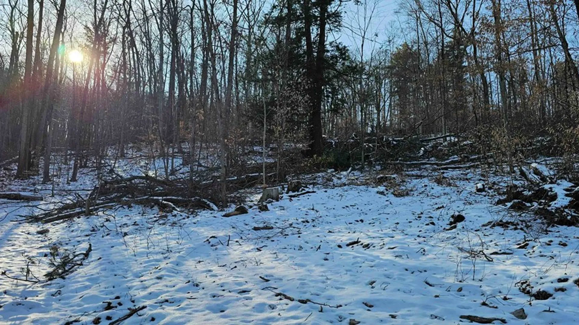 Property at 00 Jenkins Road, Elmira, NY 14861 15