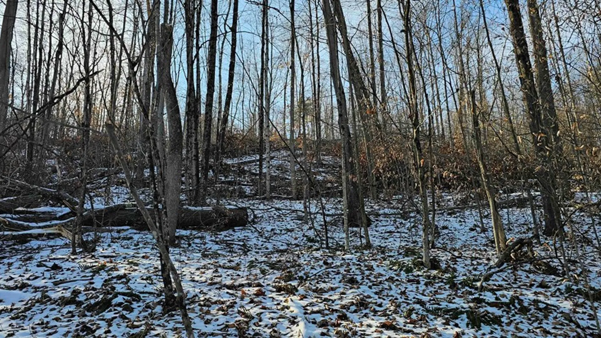 Property at 00 Jenkins Road, Elmira, NY 14861 16