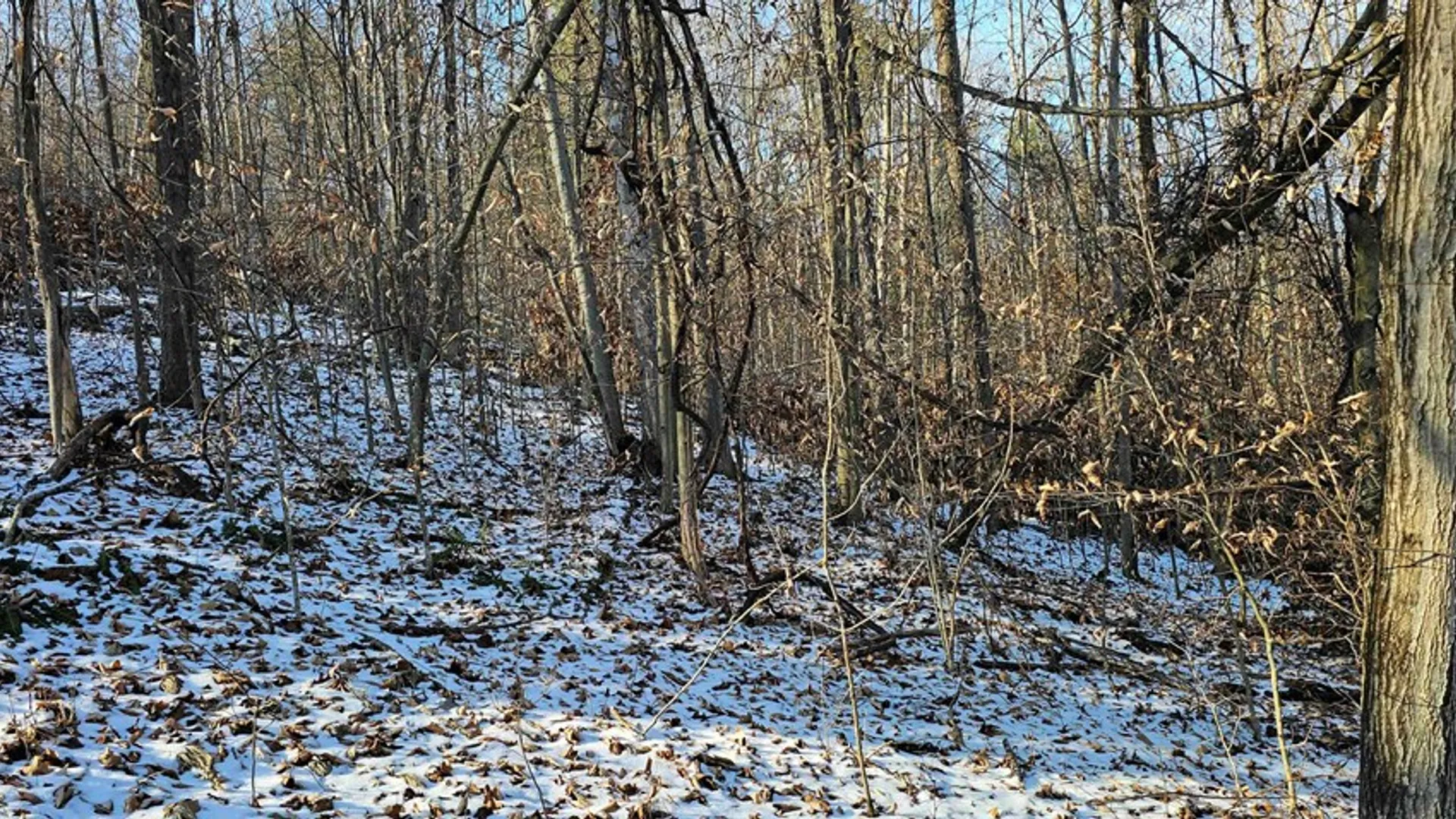 Property at 00 Jenkins Road, Elmira, NY 14861 17