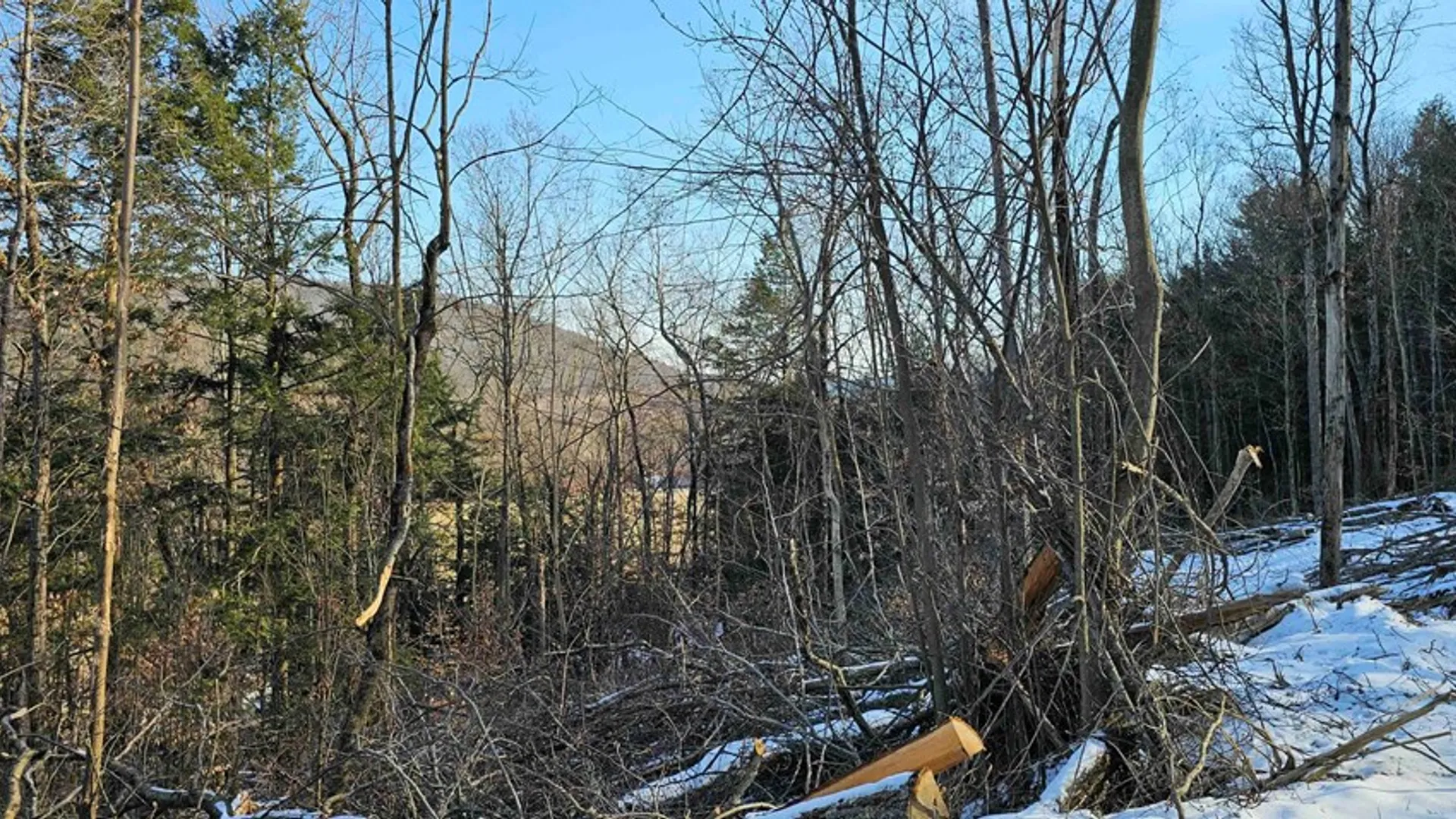 Property at 00 Jenkins Road, Elmira, NY 14861 18