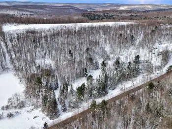 Property at 7843 County Road 40, Wirt, NY 14715