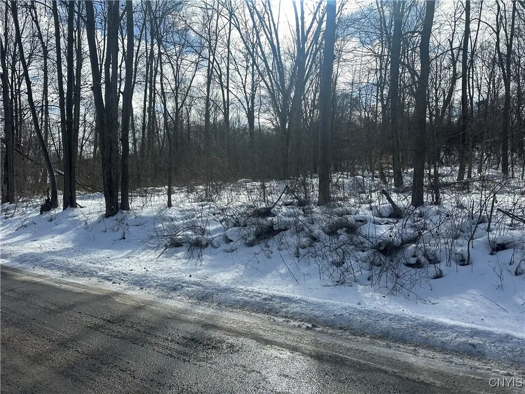 Property at 0000 Woodmancy Road, Tully, NY 13159