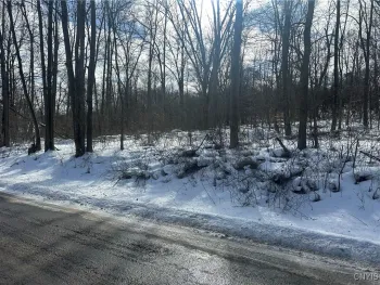 Property at 0000 Woodmancy Road, Tully, NY 13159
