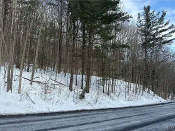 Property at 0000 Song Mountain Rd Road, Preble, NY 13141
