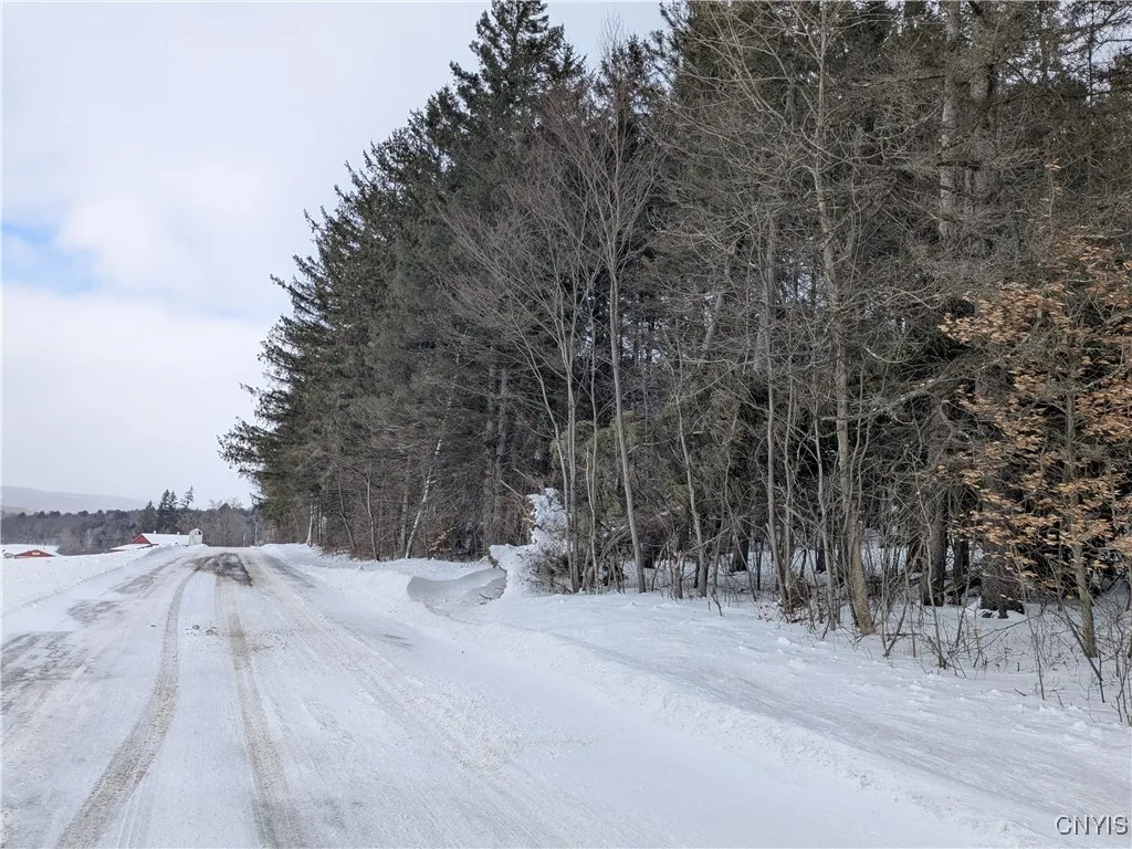 Property at 0 Wood Road, Lapeer, NY 13803