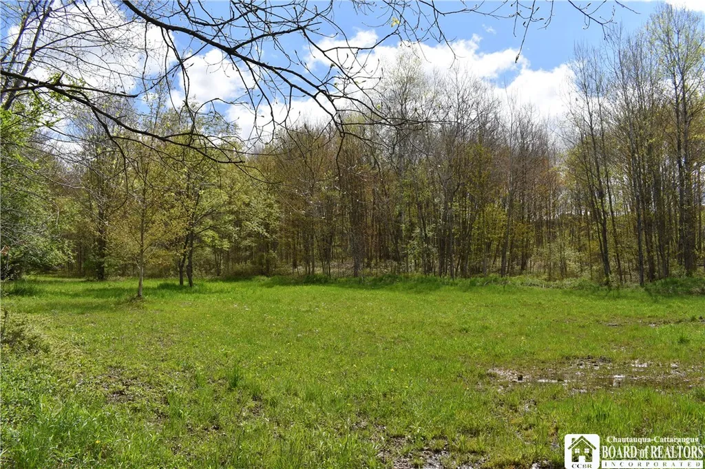Property at Earl Seaton Rd., Napoli, NY 14772