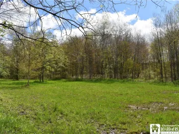 Property at Earl Seaton Rd., Napoli, NY 14772