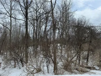 Property at Route 12 B, Madison, NY 13402