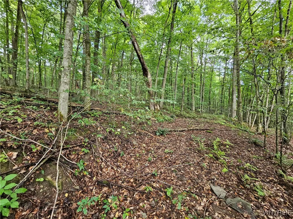 Property at Dublin Terrace Road, Mansfield, NY 14779