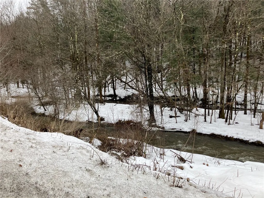 Property at Lots 10.31 & 10.32 Knapp Road, Sherburne, NY 13460