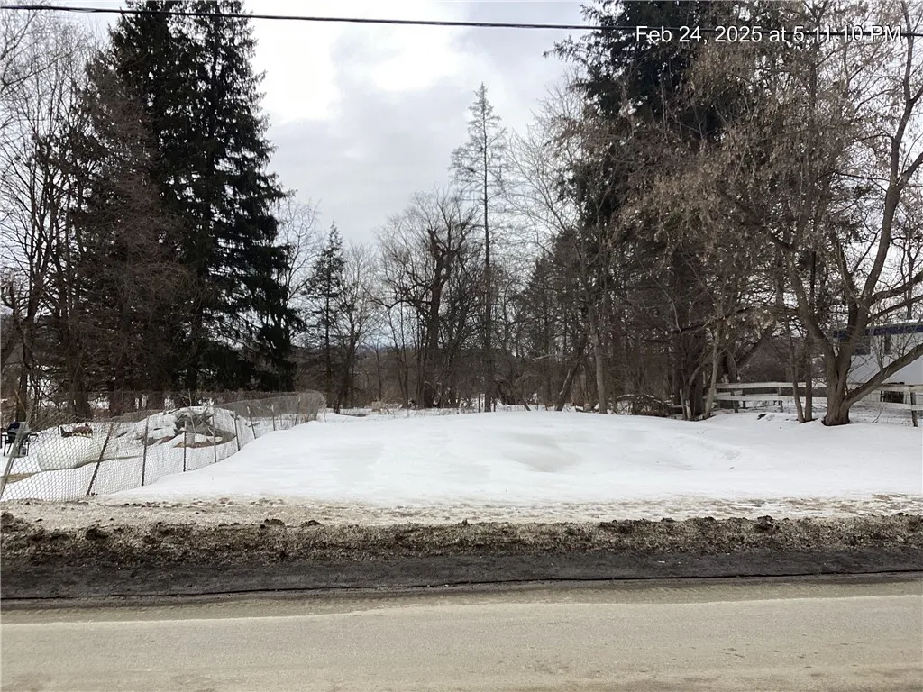 Property at 217 County Highway 20, Edmeston, NY 13411