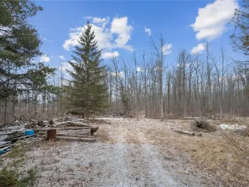 Property at 3296 County Road 143, Covert, NY 14847