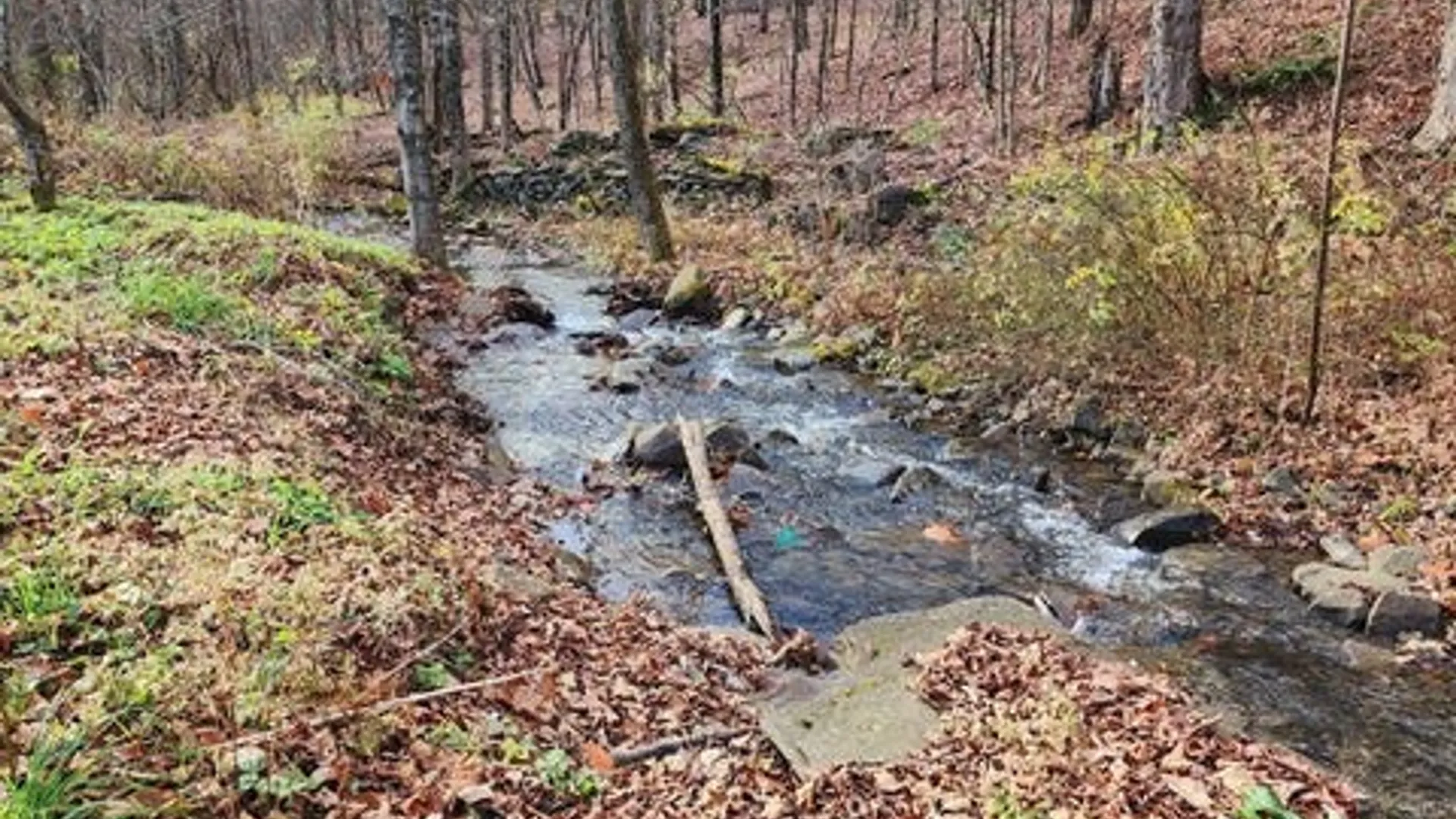 Property at 105 Vintonton Road, Fulton, NY 12194 17