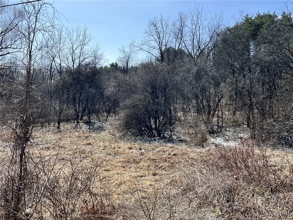 Property at 0 W Seneca Lot 2 Road, Hector, NY 14886