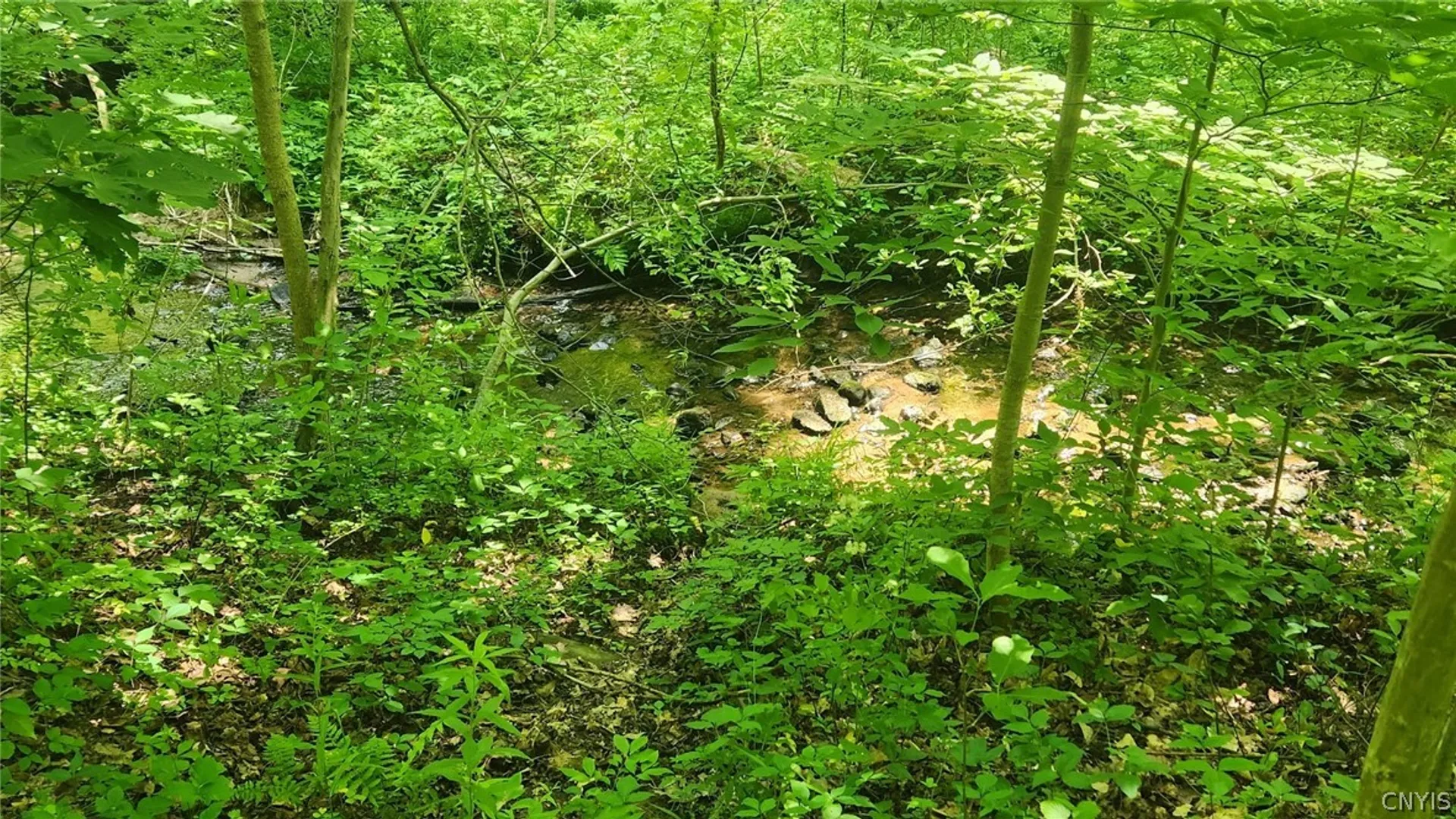 Property at 47 Cemetery Drive, Hannibal, NY 13074 2