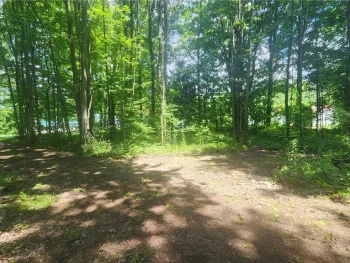Property at 47 Cemetery Drive, Hannibal, NY 13074