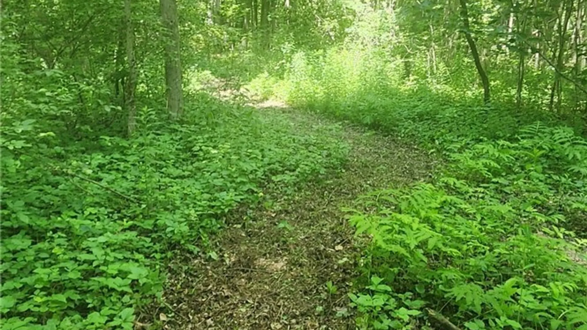 Property at 47 Cemetery Drive, Hannibal, NY 13074 3