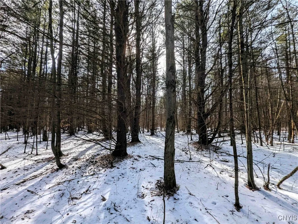 Property at Markle Hollow Road, Corning, NY 14814