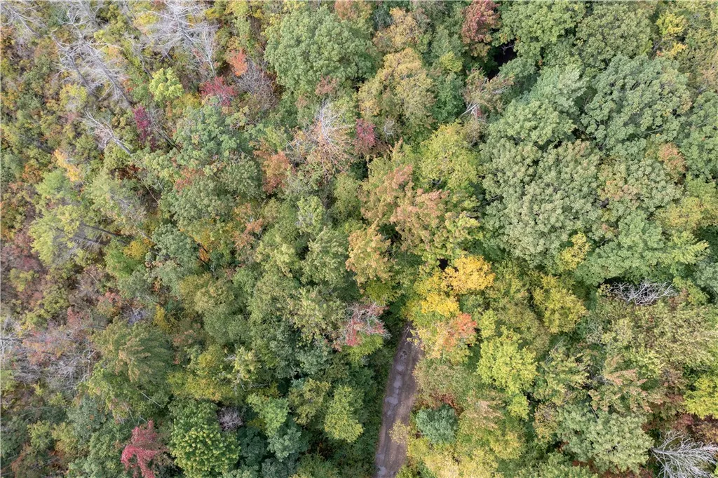 Property at 0 Chief Canesque Lane, Springwater, NY 14560