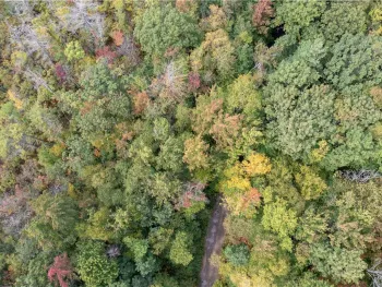 Property at 0 Chief Canesque Lane, Springwater, NY 14560
