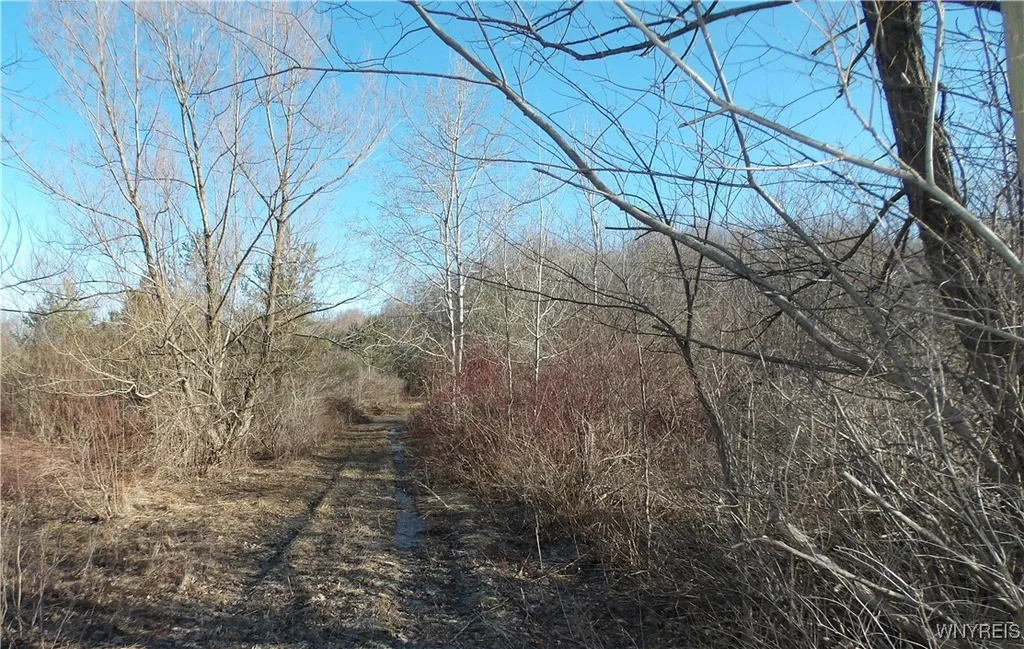Property at Shirley Road, North Collins, NY 14111