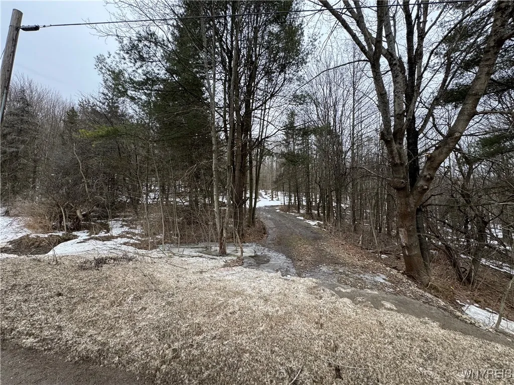 Property at Cr-3, Centerville, NY 14065