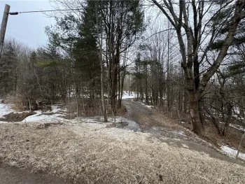 Property at Cr-3, Centerville, NY 14065