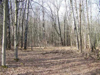 Property at 191 West Extension, Laurens, NY 13820