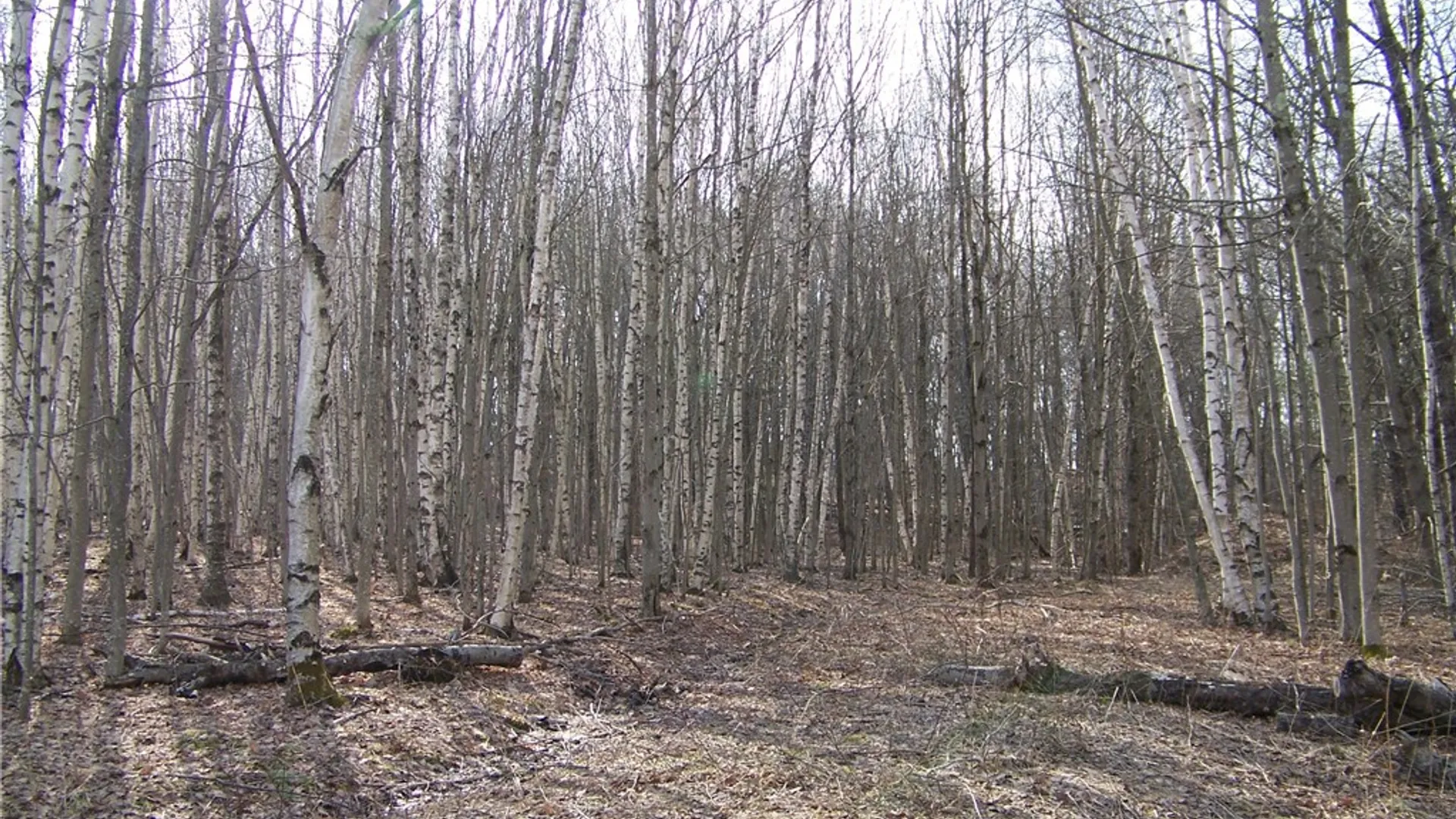 Property at 191 West Extension, Laurens, NY 13820 6
