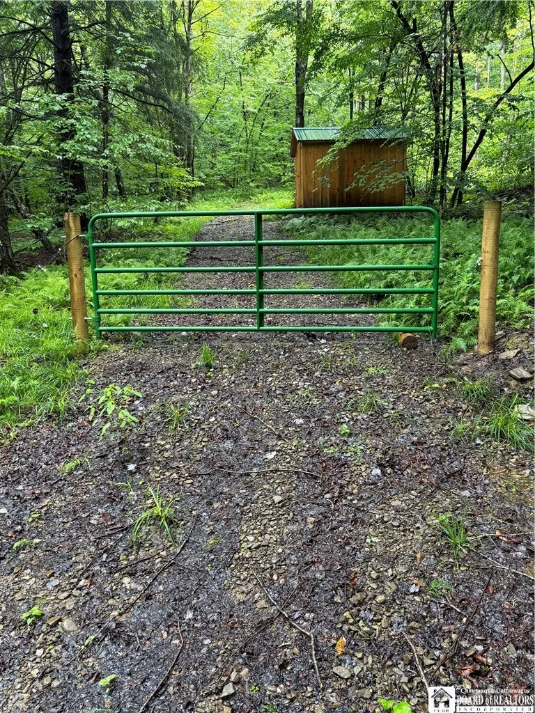 Property at Orebed Road, Willing, NY 14895
