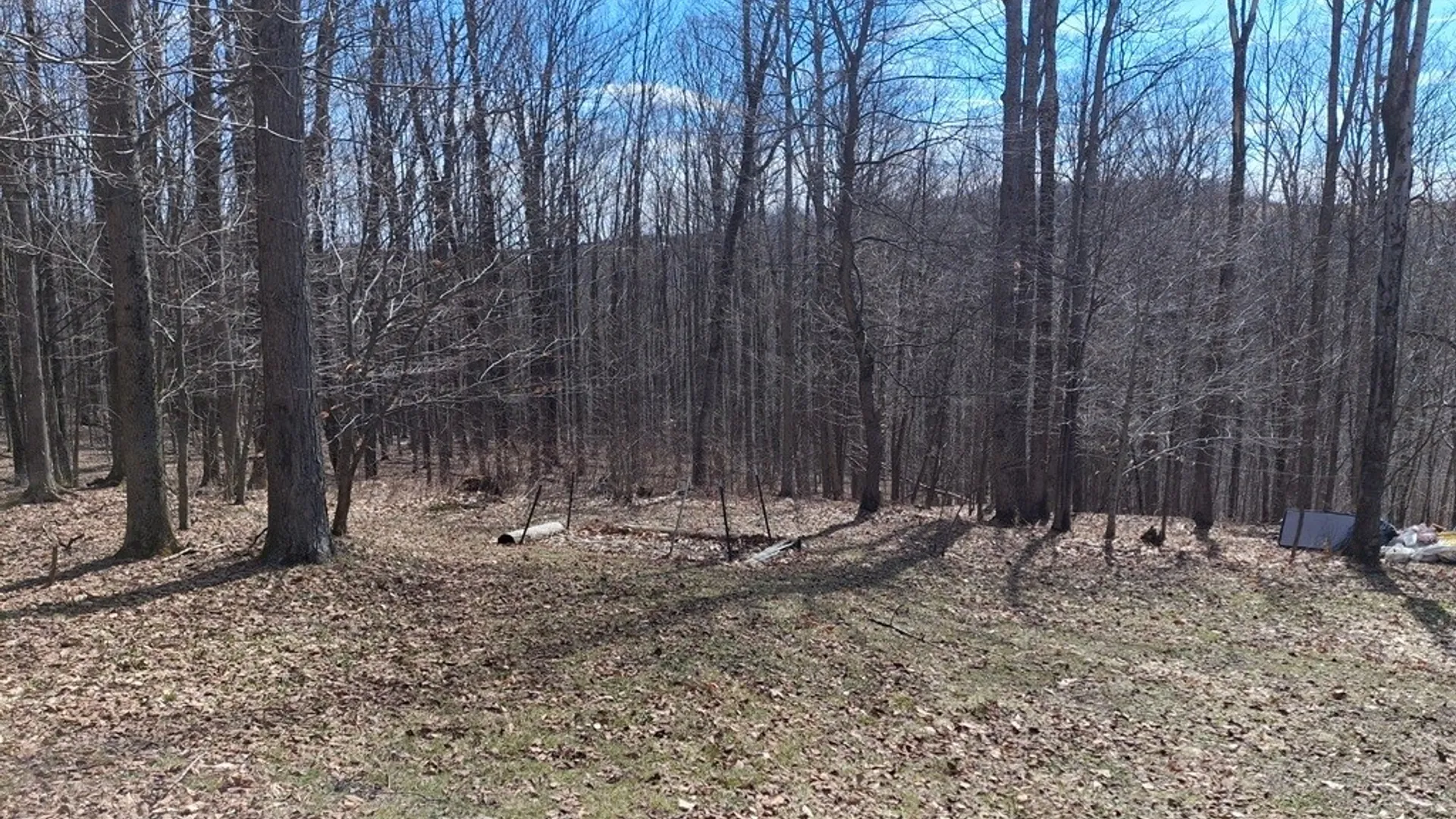 Property at 6098 Shady Lane, Lyndon, NY 14737 19