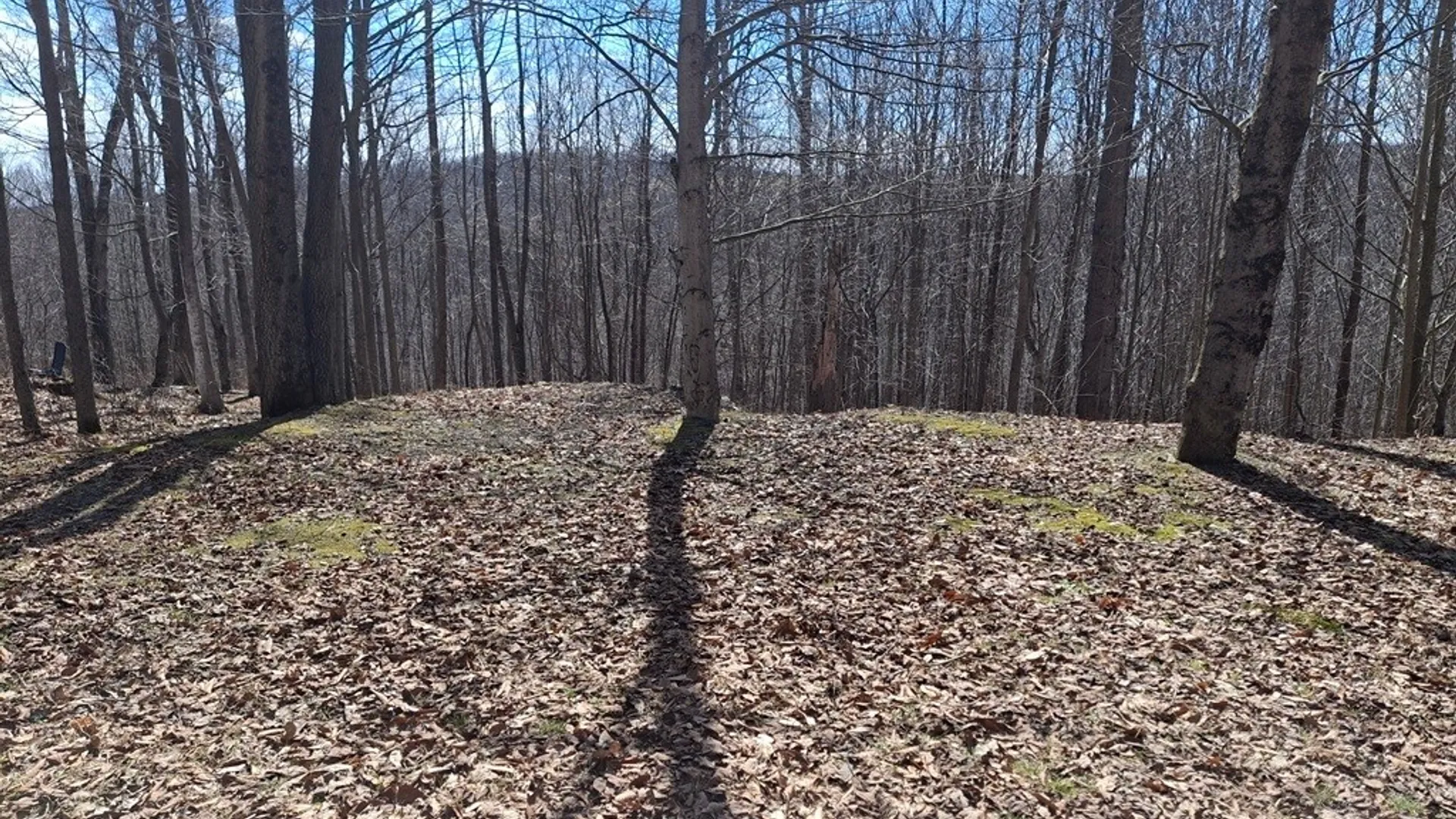 Property at 6098 Shady Lane, Lyndon, NY 14737 20