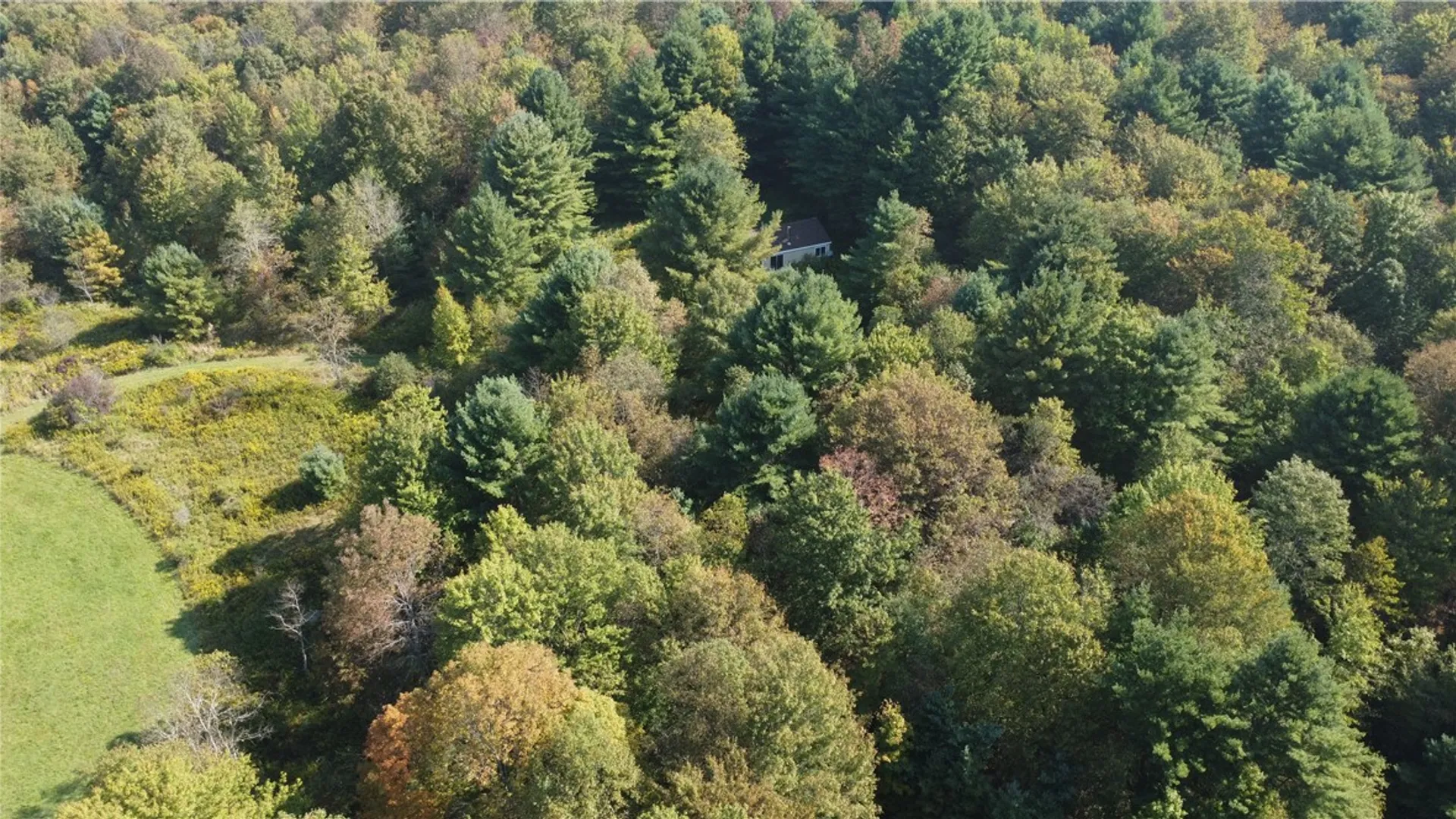 Property at 570 Farnham Road, Sanford, NY 13865 6