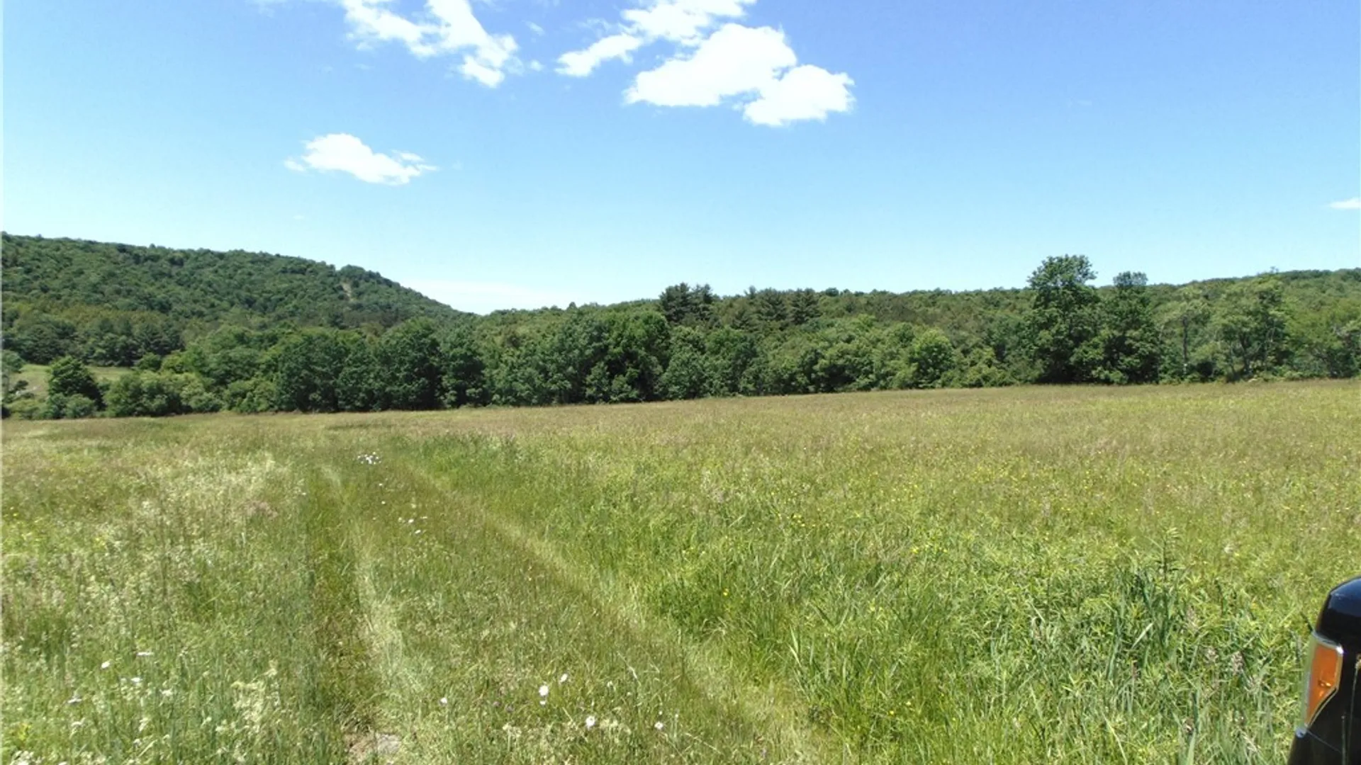 Property at 570 Farnham Road, Sanford, NY 13865 8