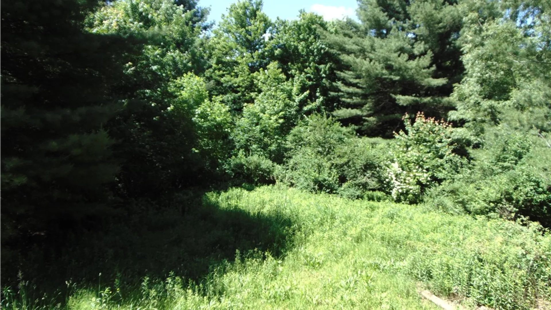Property at 570 Farnham Road, Sanford, NY 13865 18