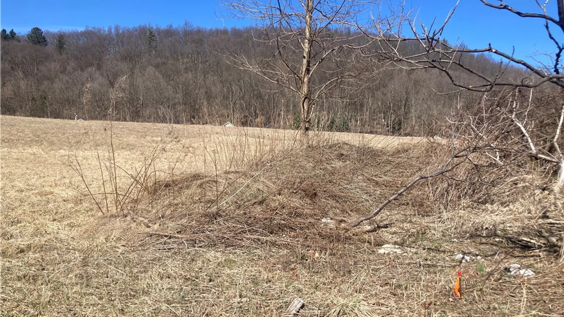 Property at Lot 1 Cotton Hanlon Road, Catharine, NY 14869 9