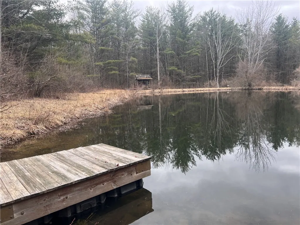 Property at 0 Welty Road, Lindley, NY 14858