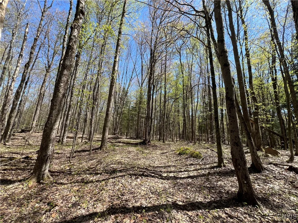 Property at Cedar Street, Watson, NY 13367
