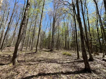 Property at Cedar Street, Watson, NY 13367