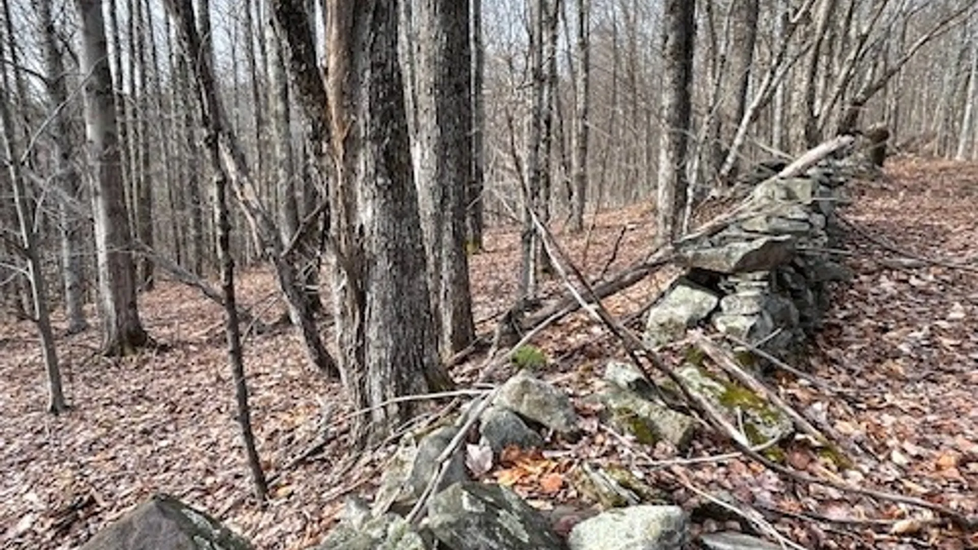 Property at Lot 10 Alpine Drive, Bovina, NY 13740 3