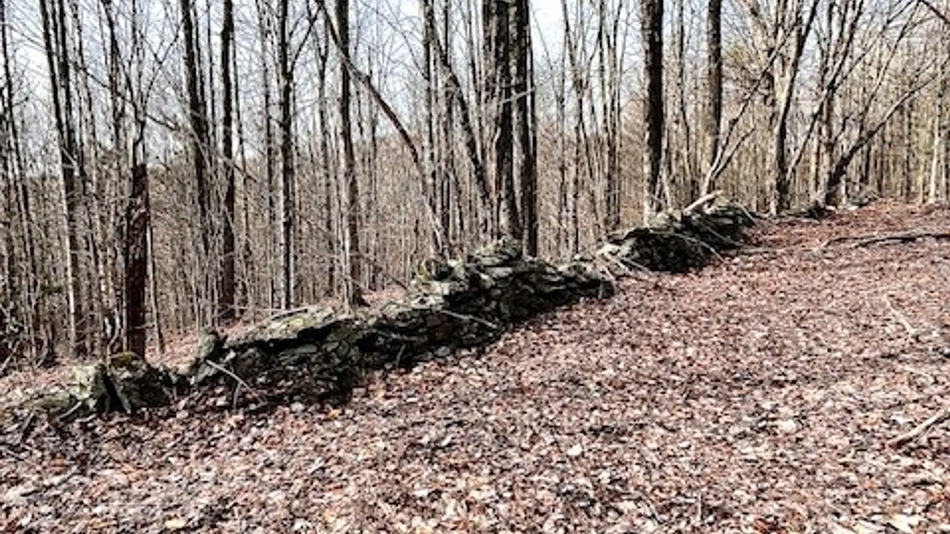 Property at Lot 10 Alpine Drive, Bovina, NY 13740 4