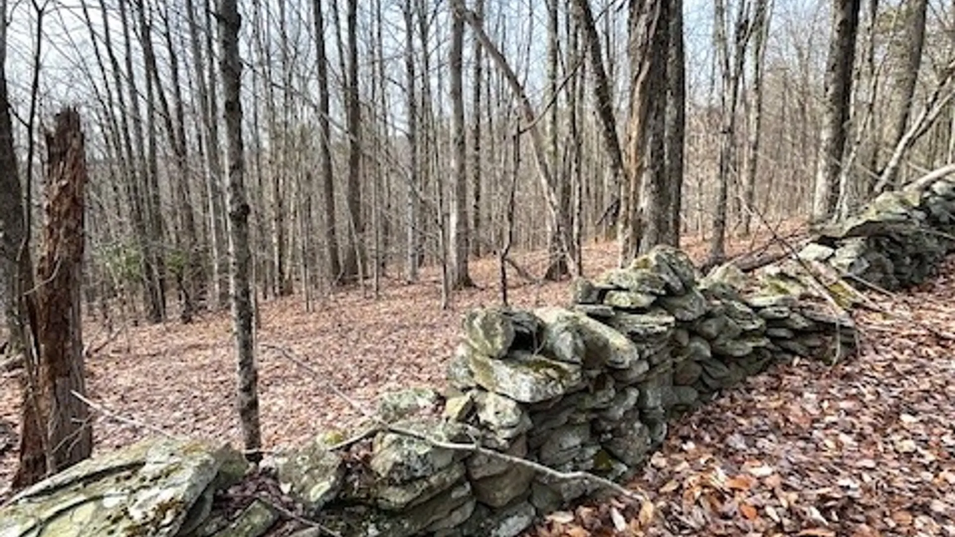 Property at Lot 10 Alpine Drive, Bovina, NY 13740 5