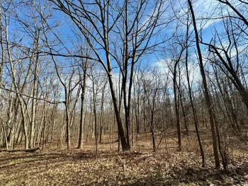 Property at 0 Belle Cornell/State Route 414 Drive, Dix, NY 14865