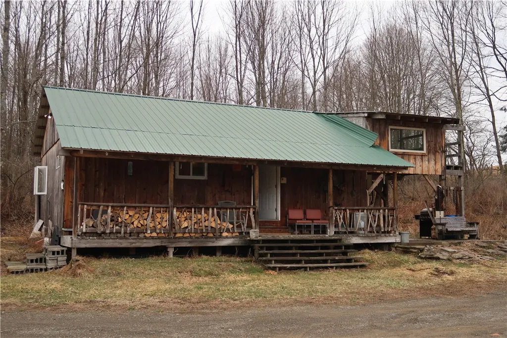 Property at 5156 Lot A Carr Road, Willet, NY 13863