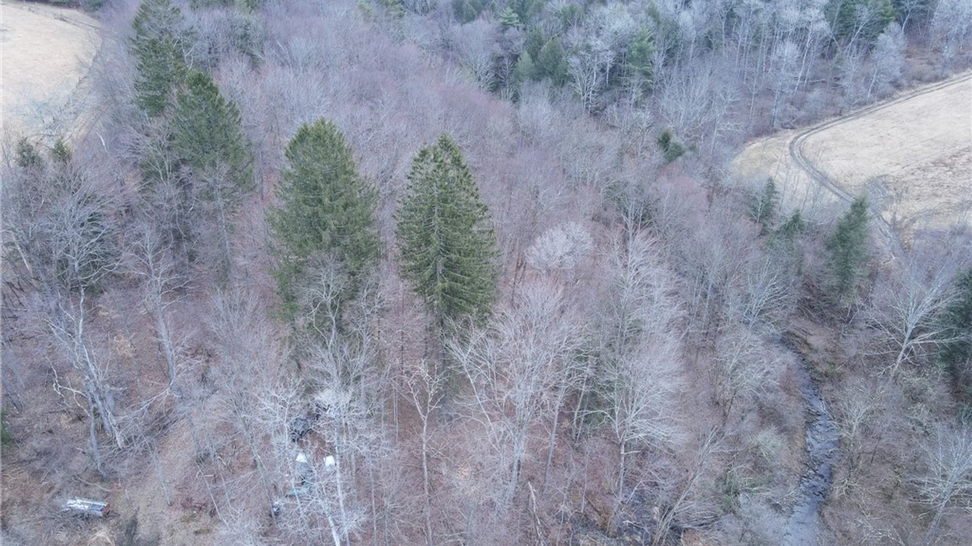 Property at 5156 Lot A Carr Road, Willet, NY 13863 21